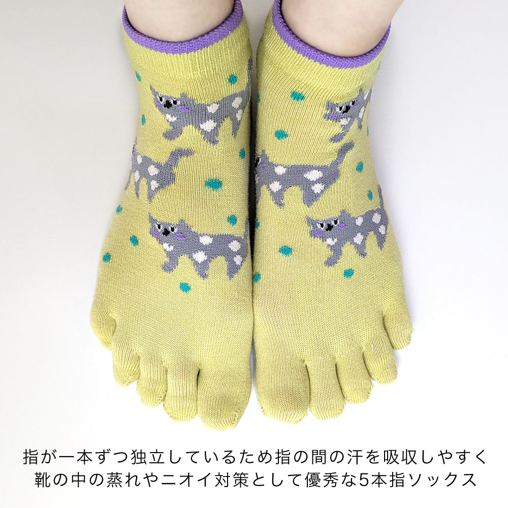 5本指ソックス レディース 6足セット 猫柄 かわいい 靴下 くるぶし丈 綿混 蒸れにくい 通気性 カジュアル アニマル柄 おしゃれ 23-25cm